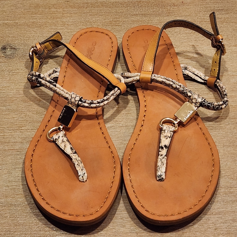 Coach size 7B Summer Sandals 👡. Comes with a certificate of Authenticity.